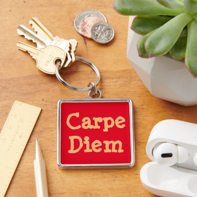 "CARPE DIEM/SEIZE THE DAY" KEY RING/CUSTOMIZABLE RING (Desk)