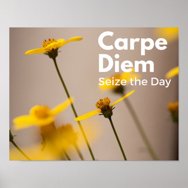 Carpe Diem Seize the Day Poster (Front)