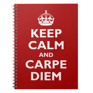 Carpe Diem! Spiral Notebook
