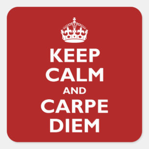 Carpe Diem! Square Sticker