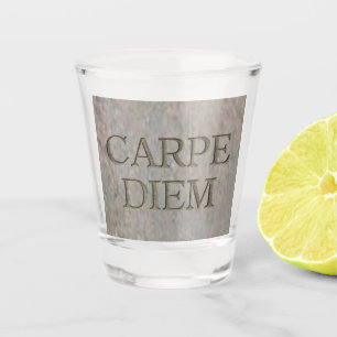 Carpe Diem Stone Seize the Day shot glass