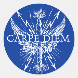 Carpe Diem Wings sticker