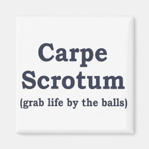 Carpe Scrotum Magnet