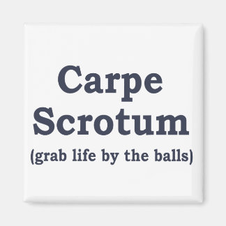 Carpe Scrotum Magnet