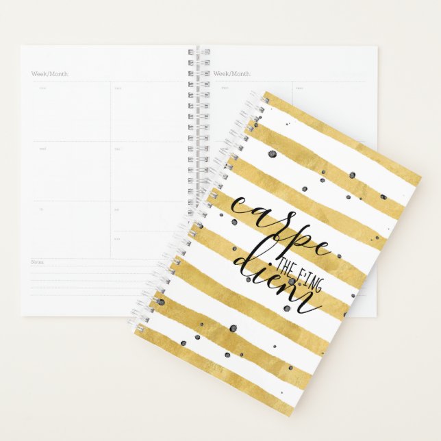 Carpe the f'ing Diem Calendar Planner (Display)