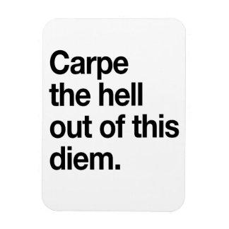 Carpe the Hell Out of This Diem Magnet