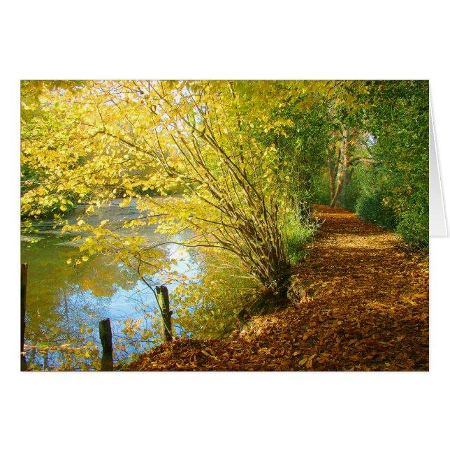 Carpet of Leaves (Front Horizontal)