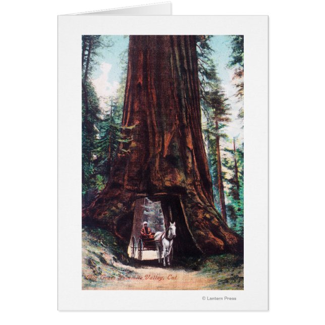 Carriage Travelling Under a Giant Redwood (Front)