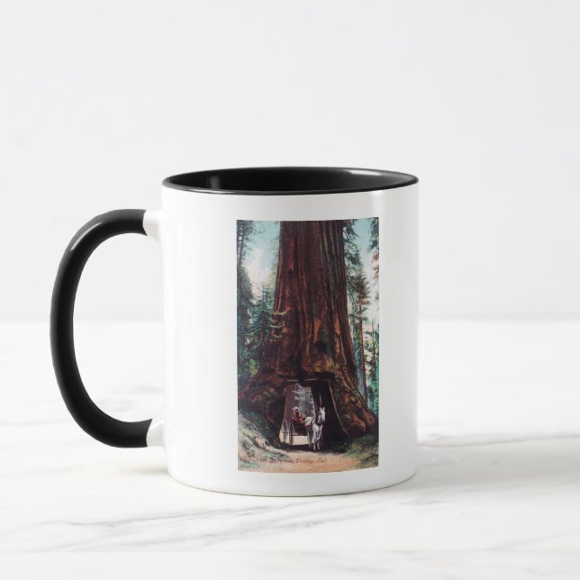 Carriage Travelling Under a Giant Redwood Mug (Left)