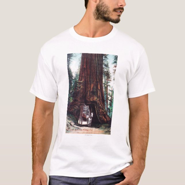 Carriage Travelling Under a Giant Redwood T-Shirt (Front)