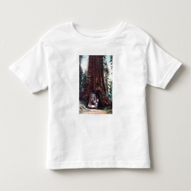 Carriage Travelling Under a Giant Redwood Toddler T-Shirt (Front)