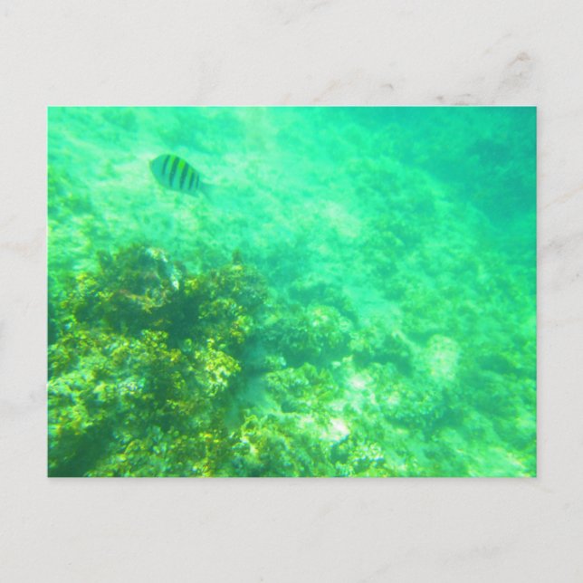 CARRIBEAN POSTCARD 2 (Front)