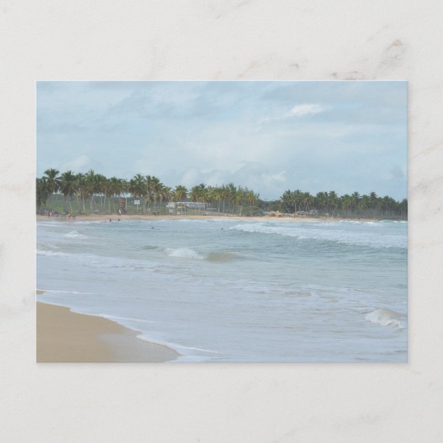 CARRIBEAN SEA POSTCARD 20 (Front)