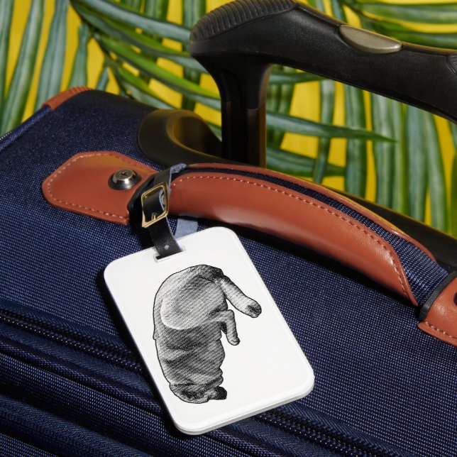 Carried While Resting Luggage Tag (Front Insitu 1)