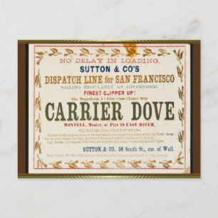 Carrier Dove Clipper Sailing Postcard