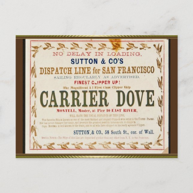 Carrier Dove Clipper Sailing  Postcard (Front)