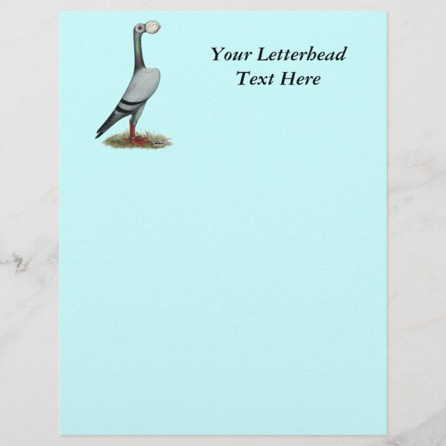 Carrier Pigeon 2012 (Front)