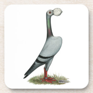 Carrier Pigeon 2012 Coaster