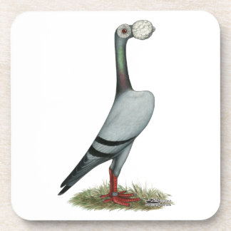 Carrier Pigeon 2012 Coaster