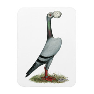 Carrier Pigeon 2012 Magnet