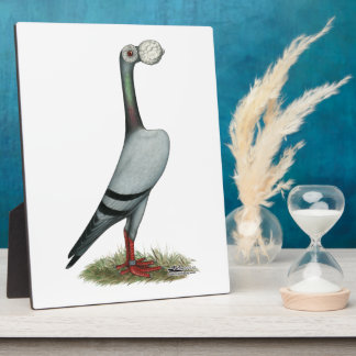 Carrier Pigeon 2012 Plaque