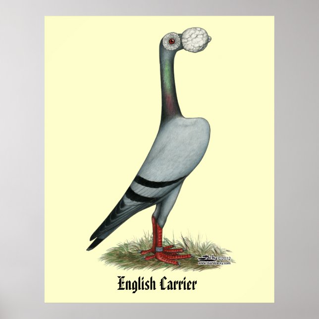 Carrier Pigeon 2012 Poster (Front)