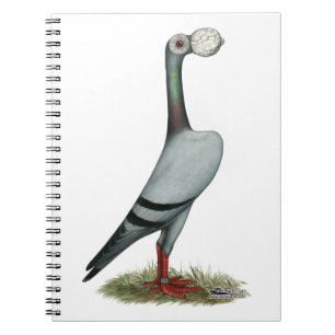 Carrier Pigeon 2012 Spiral Notebook