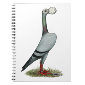 Carrier Pigeon 2012 Spiral Notebook