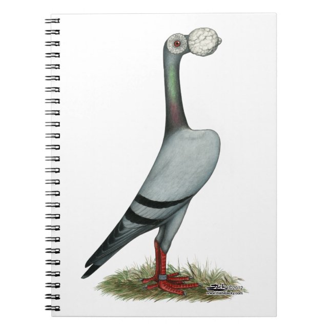 Carrier Pigeon 2012 Spiral Notebook (Front)