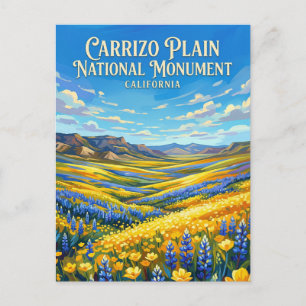 Carrizo Plain National Monument California Postcard