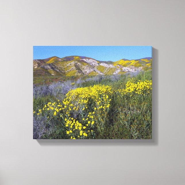 Carrizo Plain National Monument Canvas Print (Front)