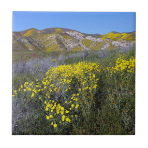 Carrizo Plain National Monument Tile