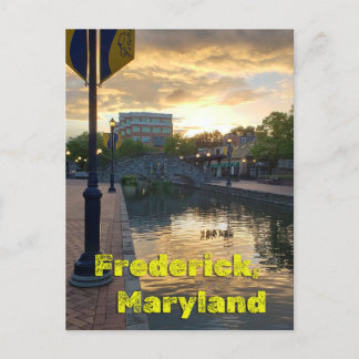 Carroll Creek Frederick Maryland #3 Postcard