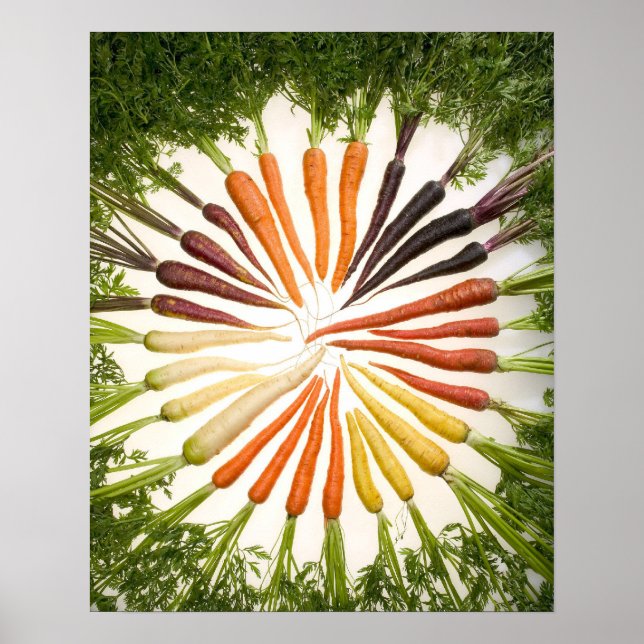 Carrot poster (Front)