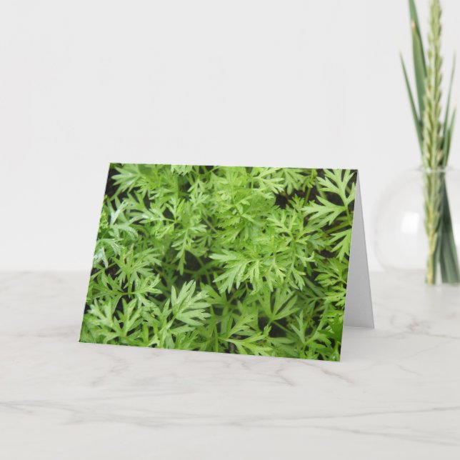 Carrot Tops Greeting Card (Front)