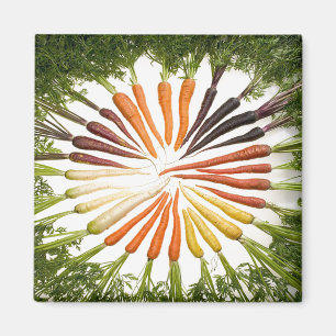 Carrot Vegetables Colourful Rainbow Pattern Garden Magnet