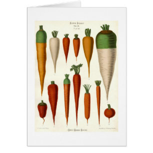 Carrots