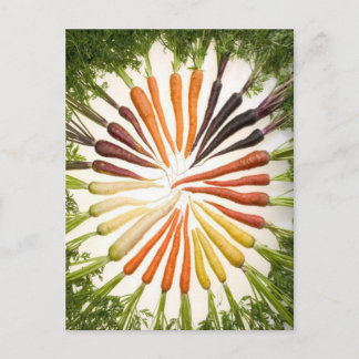 Carrots Colourful Garden Pattern Postcard