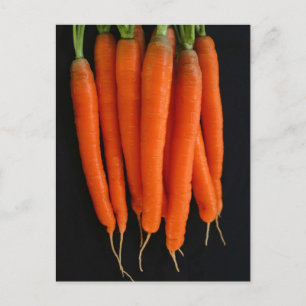 Carrots Fresh from the Garden Postcard