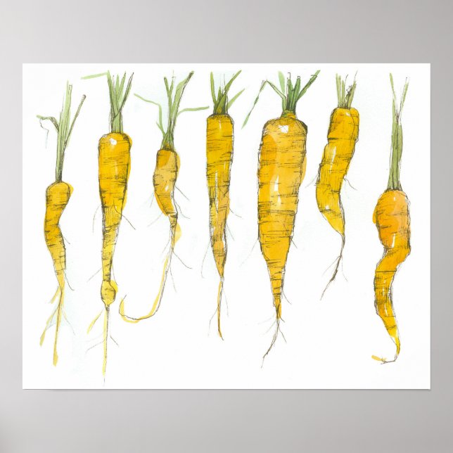 Carrots Garden Vegetable Watercolor Ink Drawing Poster (Front)
