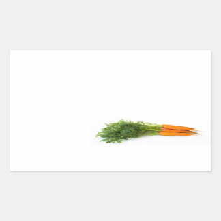 Carrots Rectangular Sticker