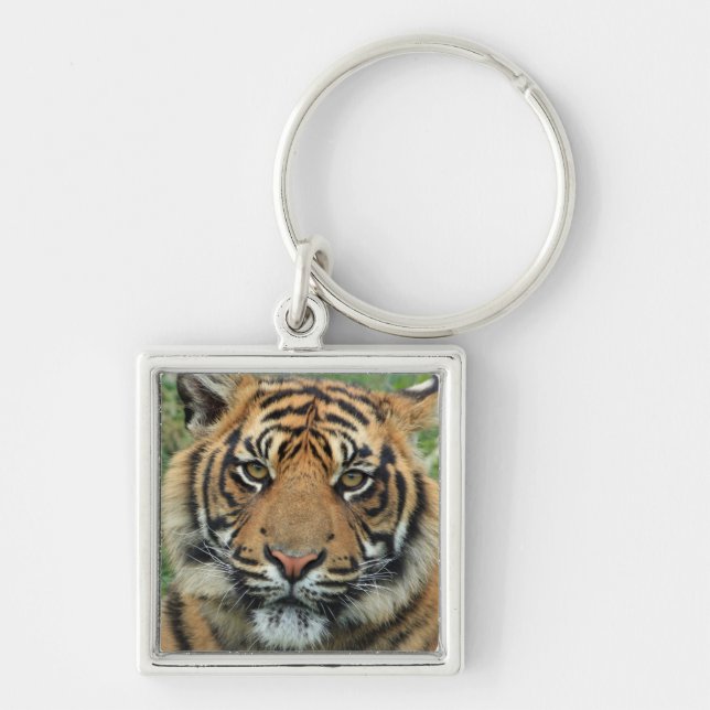 carry key tiger key ring (Front)