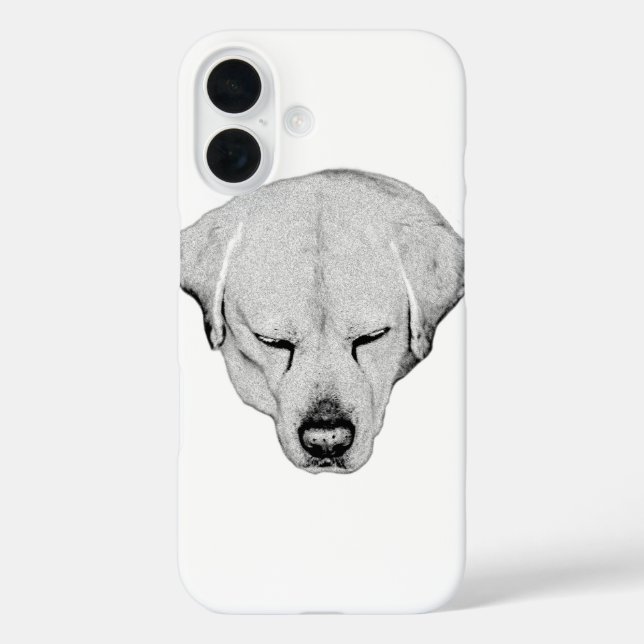 Carry Quiet, Front and Centre Case-Mate iPhone Case (Back)