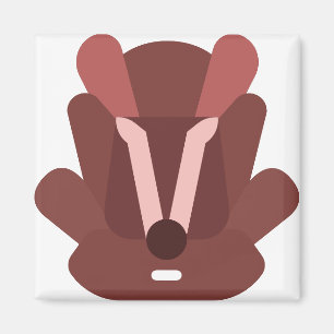 carseat magnet