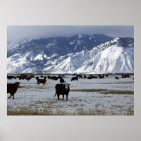 Carson Valley