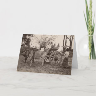 Cart pulled by two oxen at Mandalay, Burma Card