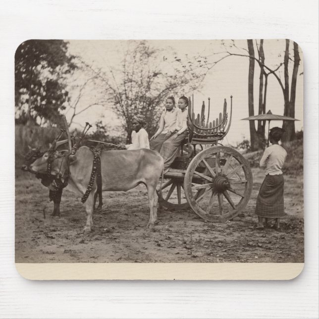 Cart pulled by two oxen at Mandalay, Burma Mouse Pad (Front)
