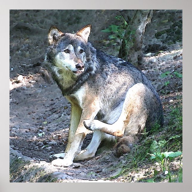 CArt Wolf Poster (Front)