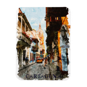 Cartagena Colombia City Street View Magnet