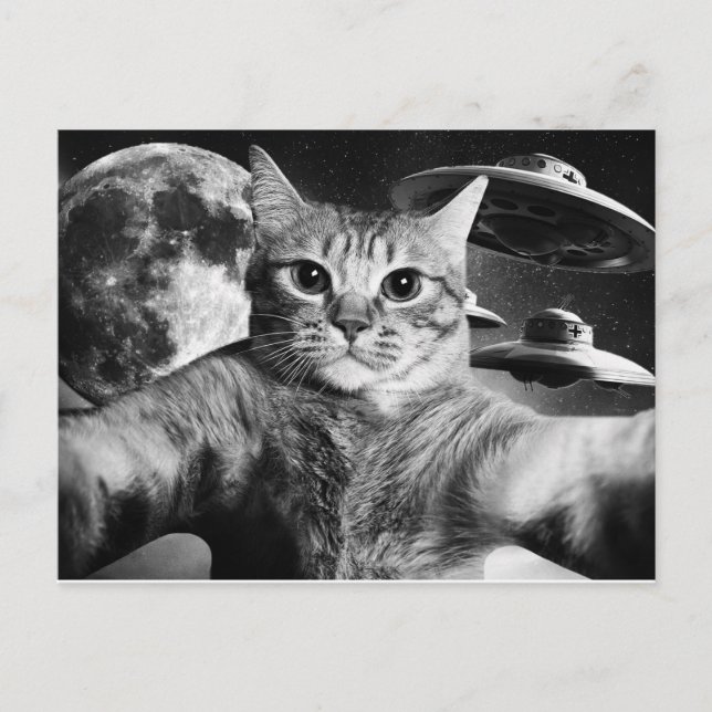 Cartão Postal Cat Space Postcard (Front)